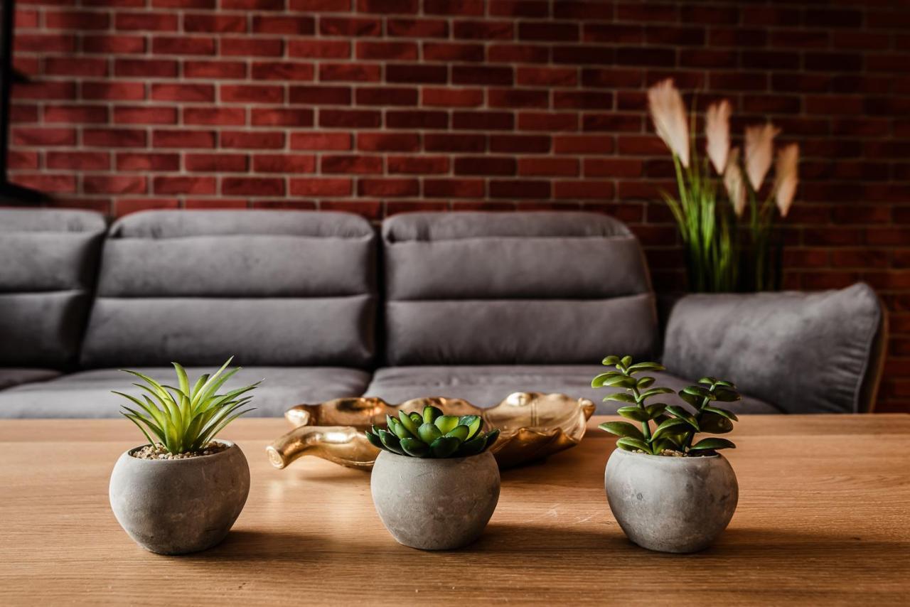 Loft Apartament Aleje Wolnosci Nowy Sącz Extérieur photo